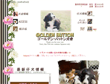 Tablet Screenshot of golden-button.sakuratan.com